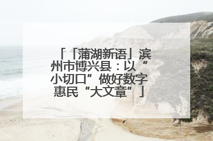 「蒲湖新语」滨州市博兴县：以“小切口”做好数字惠民“大文章”