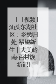 「视频」汕头东湖社区：乡愁归处 希望新生｜大美岭南·百村焕新记