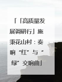 「高质量发展调研行」施秉花山村：奏响“红”与“绿”交响曲