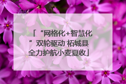 “网格化+智慧化”双轮驱动 柘城县全力护航小麦夏收