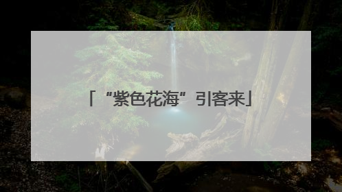 “紫色花海”引客来