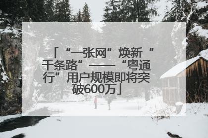 “一张网”焕新“千条路”——“粤通行”用户规模即将突破600万