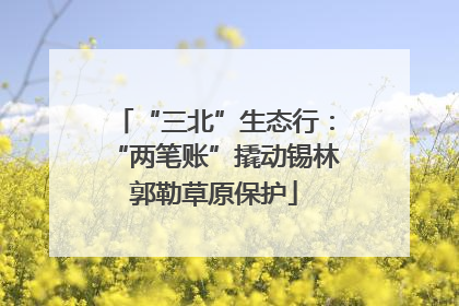 “三北”生态行：“两笔账”撬动锡林郭勒草原保护
