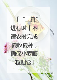 “三夏”进行时丨不误农时完成夏收夏种，确保小麦颗粒归仓