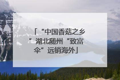 “中国香菇之乡”湖北随州“致富伞”远销海外