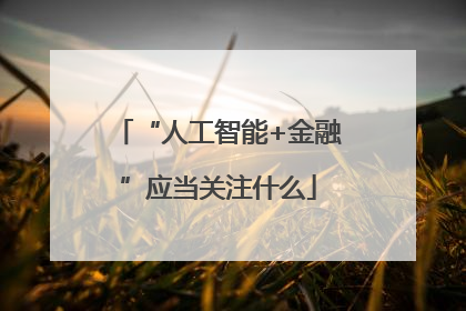 “人工智能+金融”应当关注什么