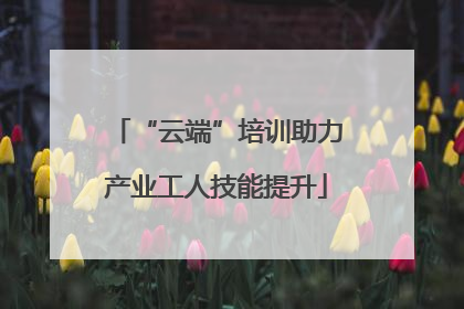 “云端”培训助力产业工人技能提升