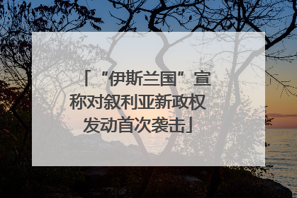 “伊斯兰国”宣称对叙利亚新政权发动首次袭击
