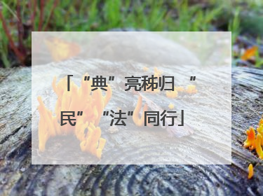 “典”亮秭归 “民”“法”同行