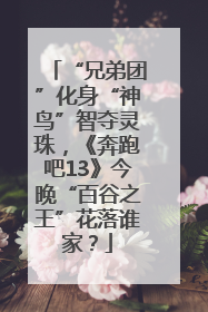 “兄弟团”化身“神鸟”智夺灵珠，《奔跑吧13》今晚“百谷之王”花落谁家？