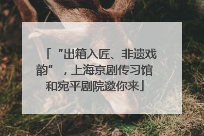 “出箱入匠、非遗戏韵”，上海京剧传习馆和宛平剧院邀你来