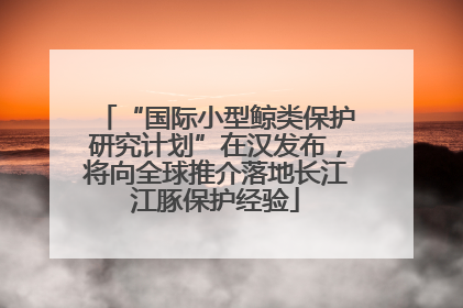 “国际小型鲸类保护研究计划”在汉发布，将向全球推介落地长江江豚保护经验