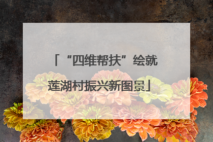 “四维帮扶”绘就莲湖村振兴新图景