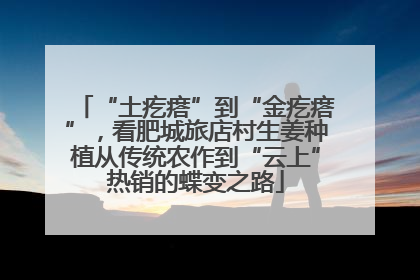 “土疙瘩”到“金疙瘩”，看肥城旅店村生姜种植从传统农作到“云上”热销的蝶变之路