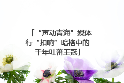 “声动青海”媒体行“扣响”暗格中的千年吐蕃王冠
