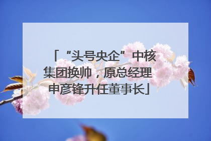 “头号央企”中核集团换帅，原总经理申彦锋升任董事长