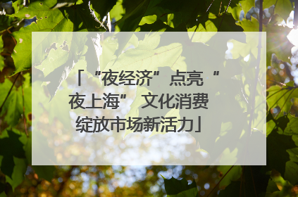“夜经济”点亮“夜上海” 文化消费绽放市场新活力
