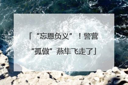 “忘恩负义”！警营“孤傲”燕隼飞走了