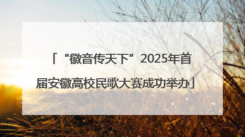 “徽音传天下”2025年首届安徽高校民歌大赛成功举办
