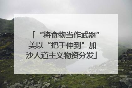 “将食物当作武器” 美以“把手伸到”加沙人道主义物资分发
