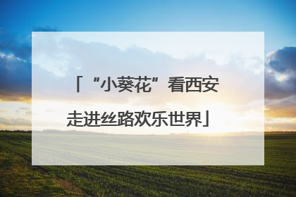 “小葵花”看西安走进丝路欢乐世界