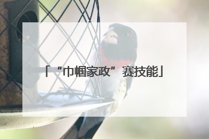 “巾帼家政”赛技能