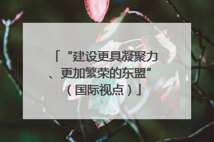 “建设更具凝聚力、更加繁荣的东盟”（国际视点）