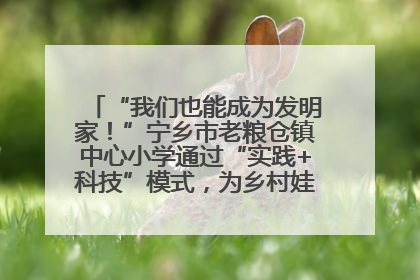 “我们也能成为发明家！”宁乡市老粮仓镇中心小学通过“实践+科技”模式，为乡村娃探索教育新路径