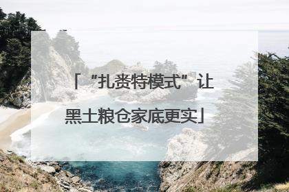 “扎赉特模式”让黑土粮仓家底更实
