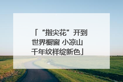 “指尖花”开到世界橱窗 小凉山千年纹样绽新色