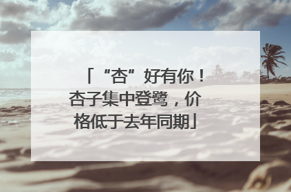“杏”好有你！杏子集中登鹭，价格低于去年同期
