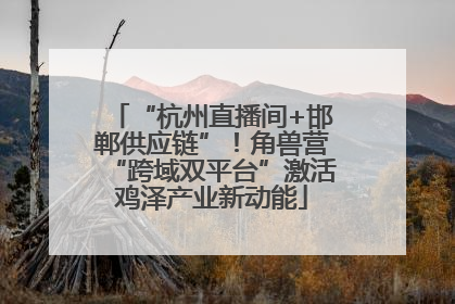 “杭州直播间+邯郸供应链”！角兽营“跨域双平台”激活鸡泽产业新动能
