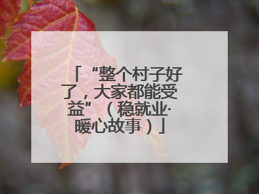 “整个村子好了，大家都能受益”（稳就业·暖心故事）