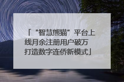 “智慧熊猫”平台上线月余注册用户破万 打造数字连侨新模式