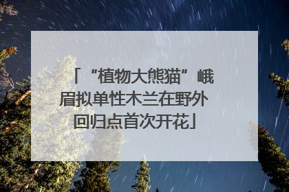 “植物大熊猫”峨眉拟单性木兰在野外回归点首次开花