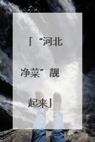 “河北净菜”靓起来