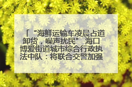 “海鲜运输车凌晨占道卸货，噪声扰民” 海口博爱街道城市综合行政执法中队：将联合交警加强长堤路一带巡逻