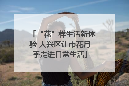 “花”样生活新体验 大兴区让市花月季走进日常生活
