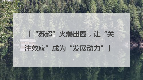 “苏超”火爆出圈，让“关注效应”成为“发展动力”