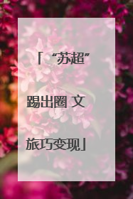 “苏超”踢出圈 文旅巧变现