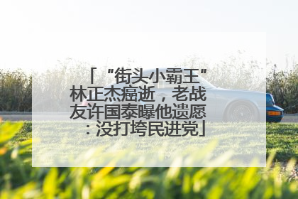 “街头小霸王”林正杰癌逝，老战友许国泰曝他遗愿：没打垮民进党