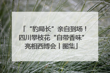 “豹局长”亲自到场！四川攀枝花“自带香味”亮相西博会丨图集