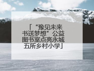 “豫见未来 书送梦想”公益图书室点亮永城五所乡村小学