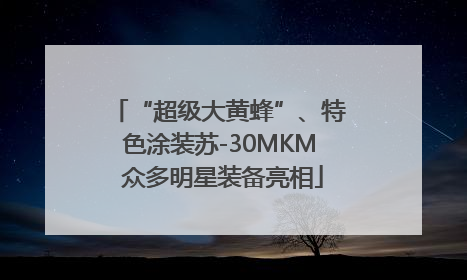 “超级大黄蜂”、特色涂装苏-30MKM 众多明星装备亮相