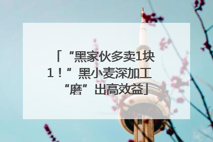 “黑家伙多卖1块1！”黑小麦深加工“磨”出高效益
