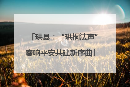 珙县：“珙桐法声”奏响平安共建新序曲
