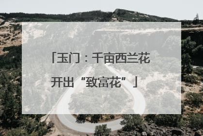 玉门：千亩西兰花开出“致富花”