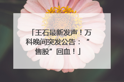 王石最新发声！万科晚间突发公告：“售股”回血！