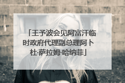 王予波会见阿富汗临时政府代理副总理阿卜杜·萨拉姆·哈纳菲