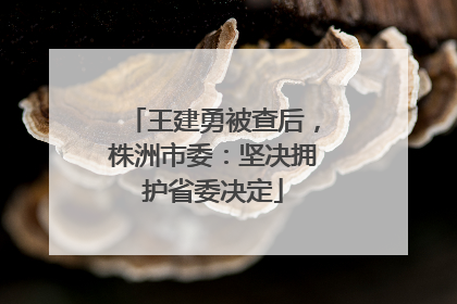 王建勇被查后，株洲市委：坚决拥护省委决定